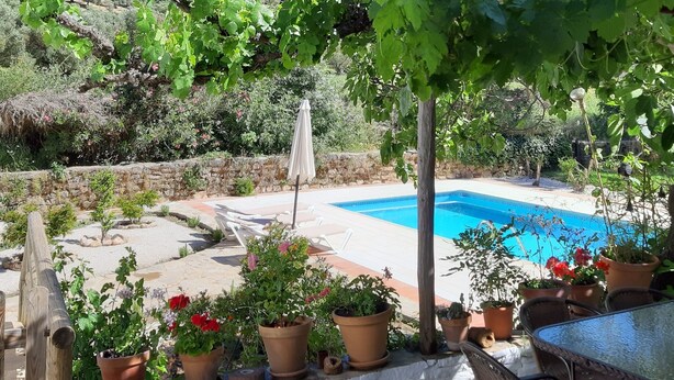 A poolside area with a table and chairs, surrounded by potted plants and a pergola with vines.