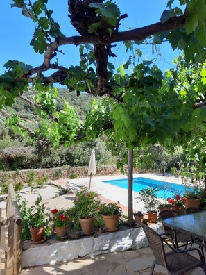 Un espace aménagé au bord de la piscine, avec une table et des chaises, entouré de plantes en pot et agrémenté d’une pergola couverte de plantes grimpantes.