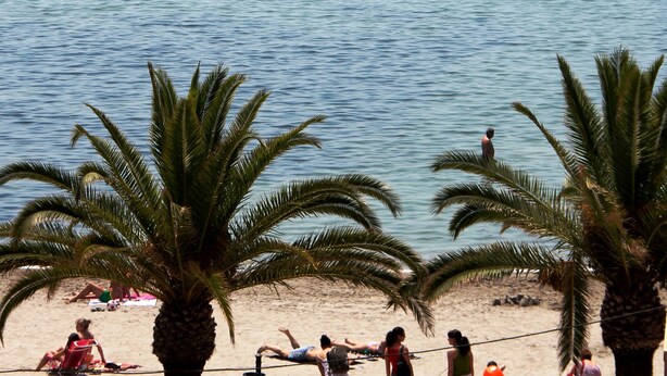 Una playa con palmeras y gente relajándose.
