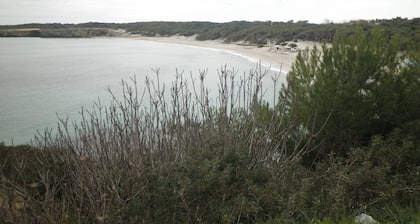 Bear Tower, Wi Fi, terrace, garden, parking, 150 m from the beach