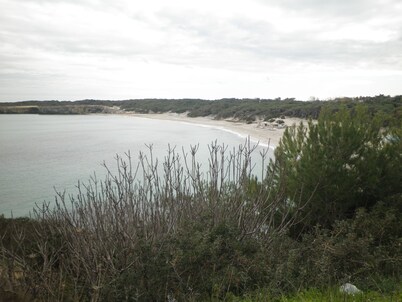 Bear Tower, Wi Fi, terrace, garden, parking, 150 m from the beach