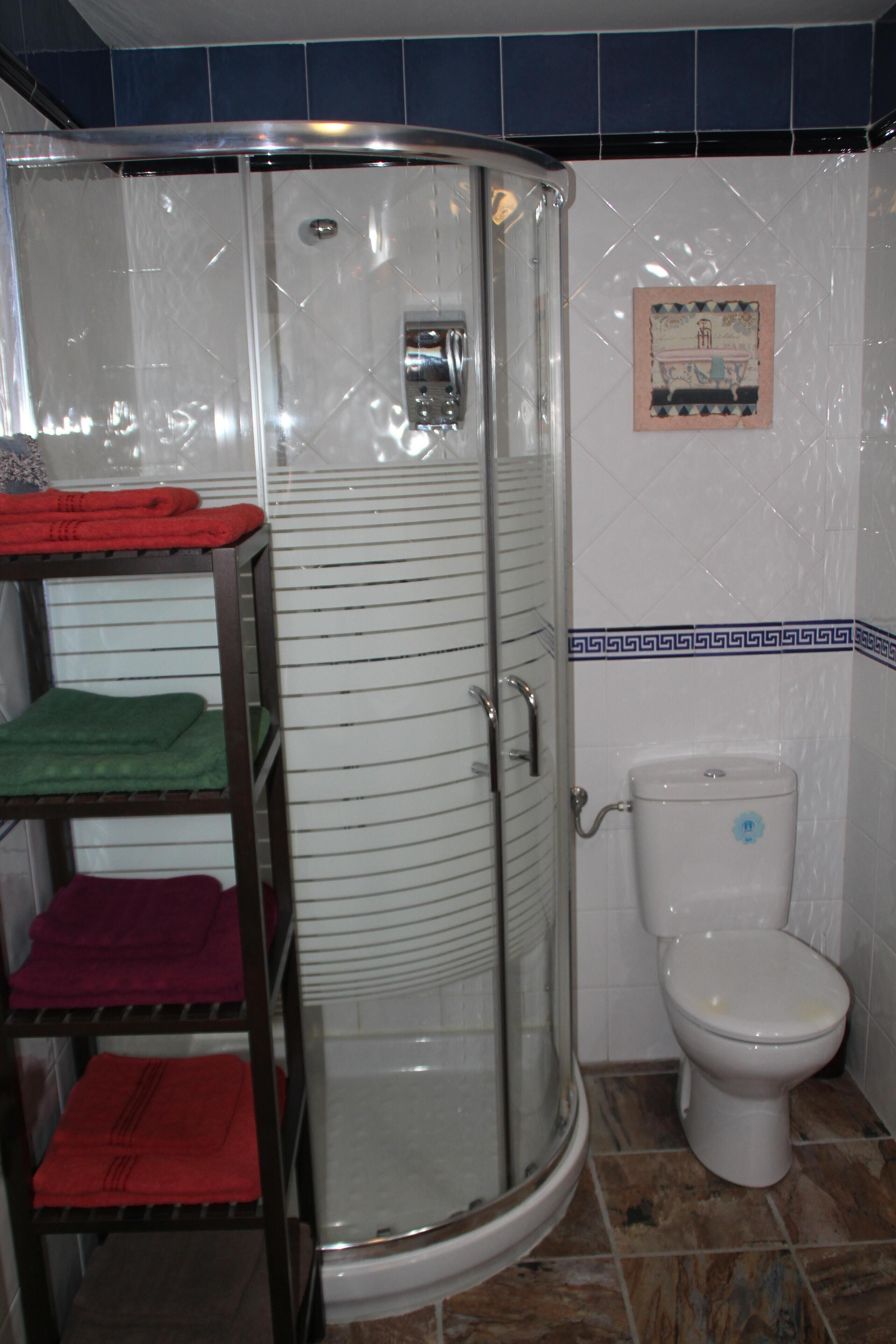 A bathroom with a glass shower enclosure, a toilet, and a towel rack with folded towels.