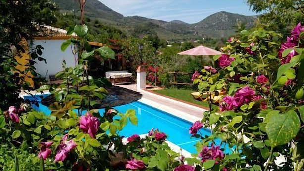 Une piscine entourée d’une végétation luxuriante et de fleurs, avec une vue sur les montagnes en arrière-plan.