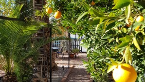 A garden pathway lined with gravel, surrounded by lush greenery and orange trees. - Alojamiento Rural El Valle for 6 people (Dúrcal)
