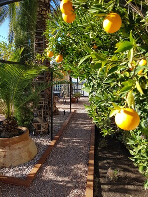 Jardines del alojamiento