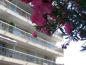 DĂ©tail de lâextĂ©rieur