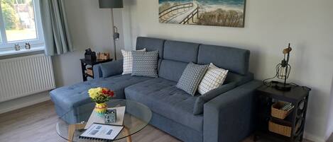TV, DVD player, books, video library