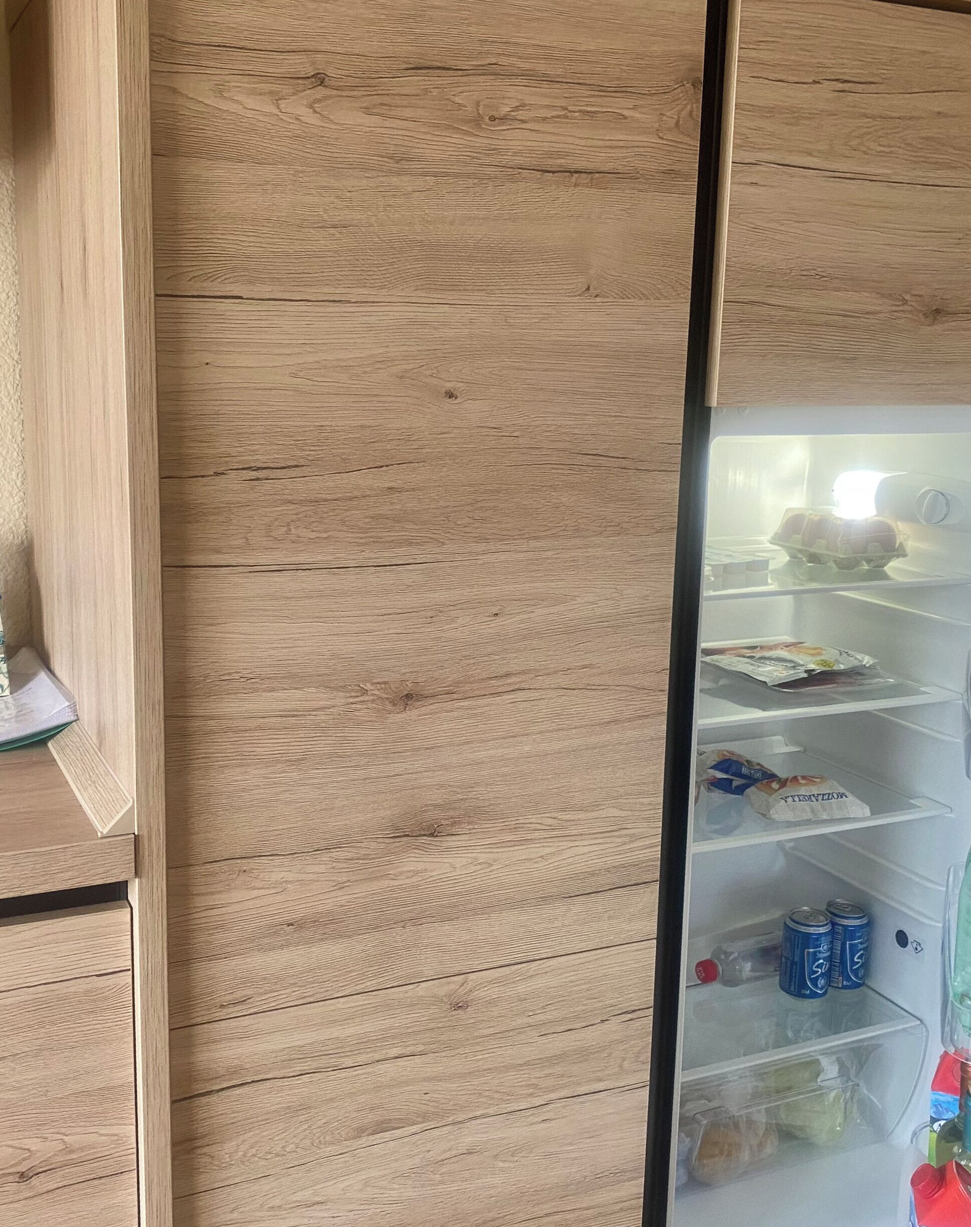 A wooden wall with a partially open door revealing a refrigerator containing eggs, a carton of milk, and a bag of chips.
