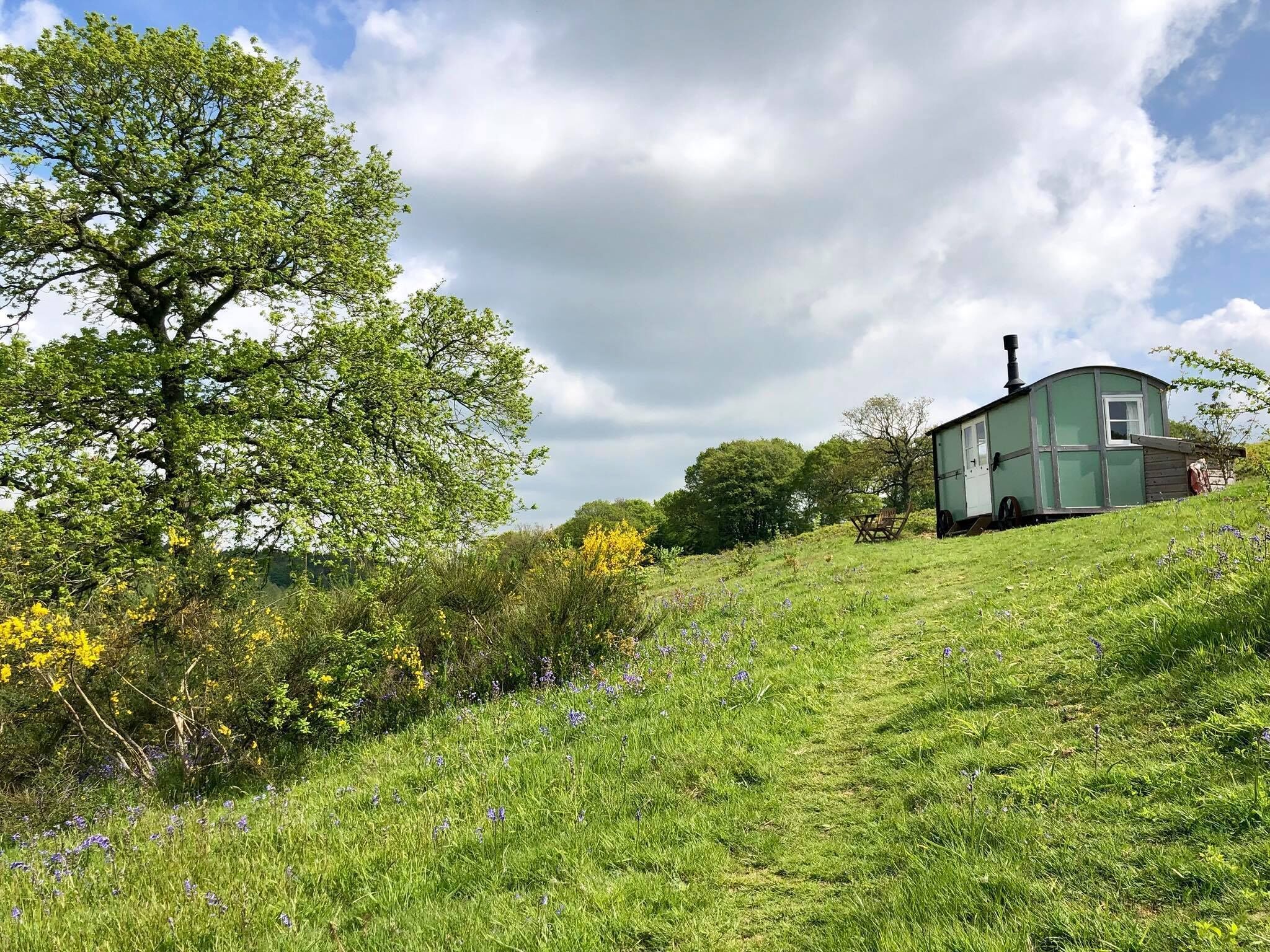 Wild Valley Retreat.