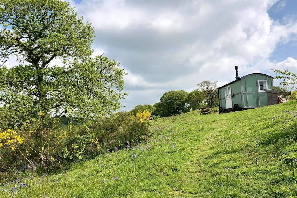 Wild Valley Retreat.