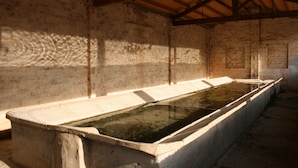 A room with a long, rectangular pool, wooden beams on the ceiling, and a textured wall. - Sol apartment ideal for large families and to visit the Monasterio de Piedra. (Munébrega)