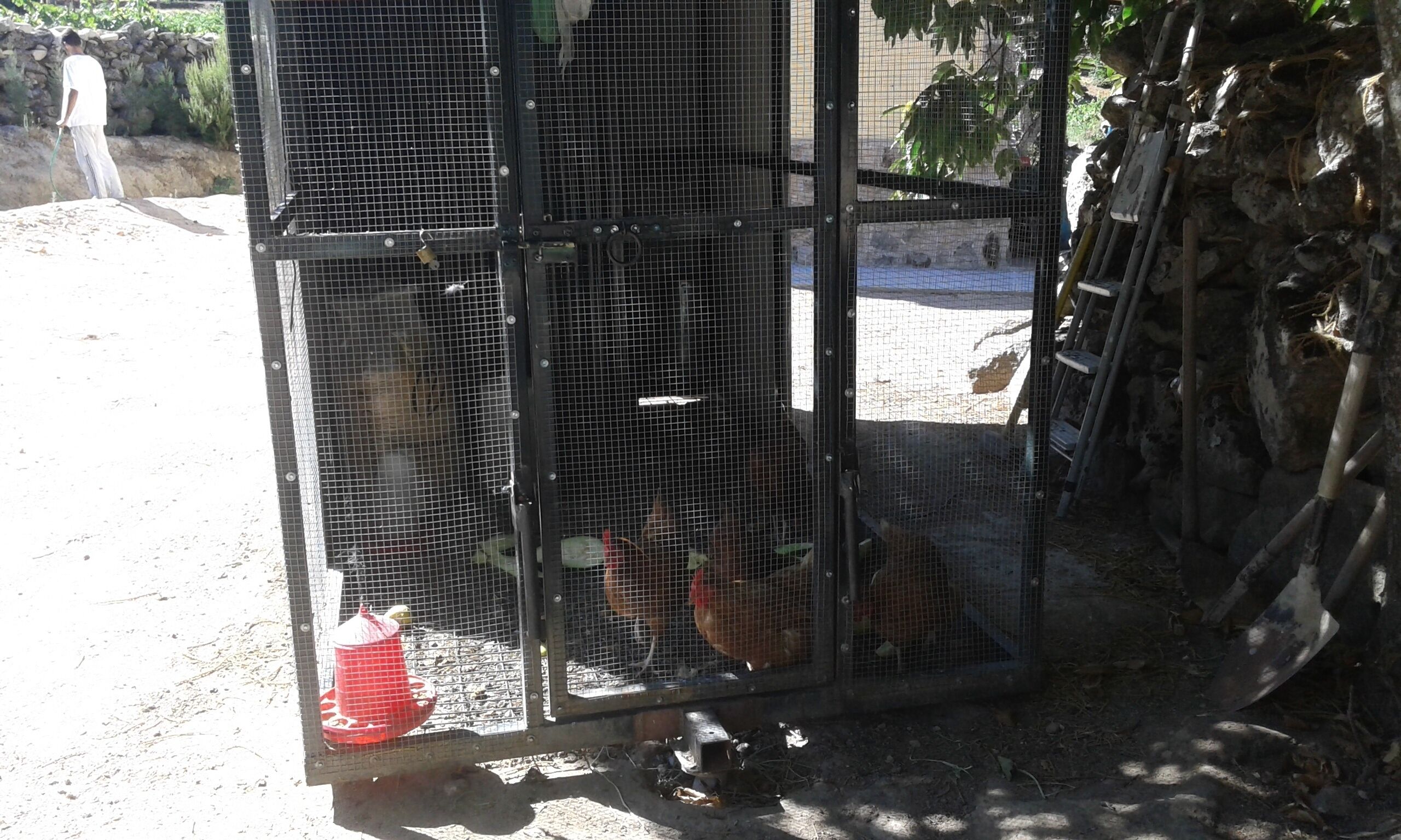 A multi-tiered metal cage structure with a red water dispenser at the base.