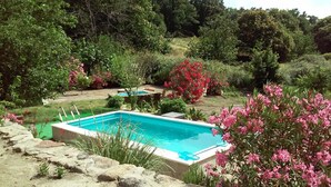 A rectangular swimming pool surrounded by lush greenery and flowering plants.