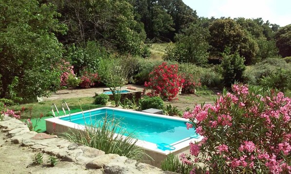 A rectangular swimming pool surrounded by lush greenery and flowering plants. - El Majano Rural Cottage for 6 people (Montánchez)