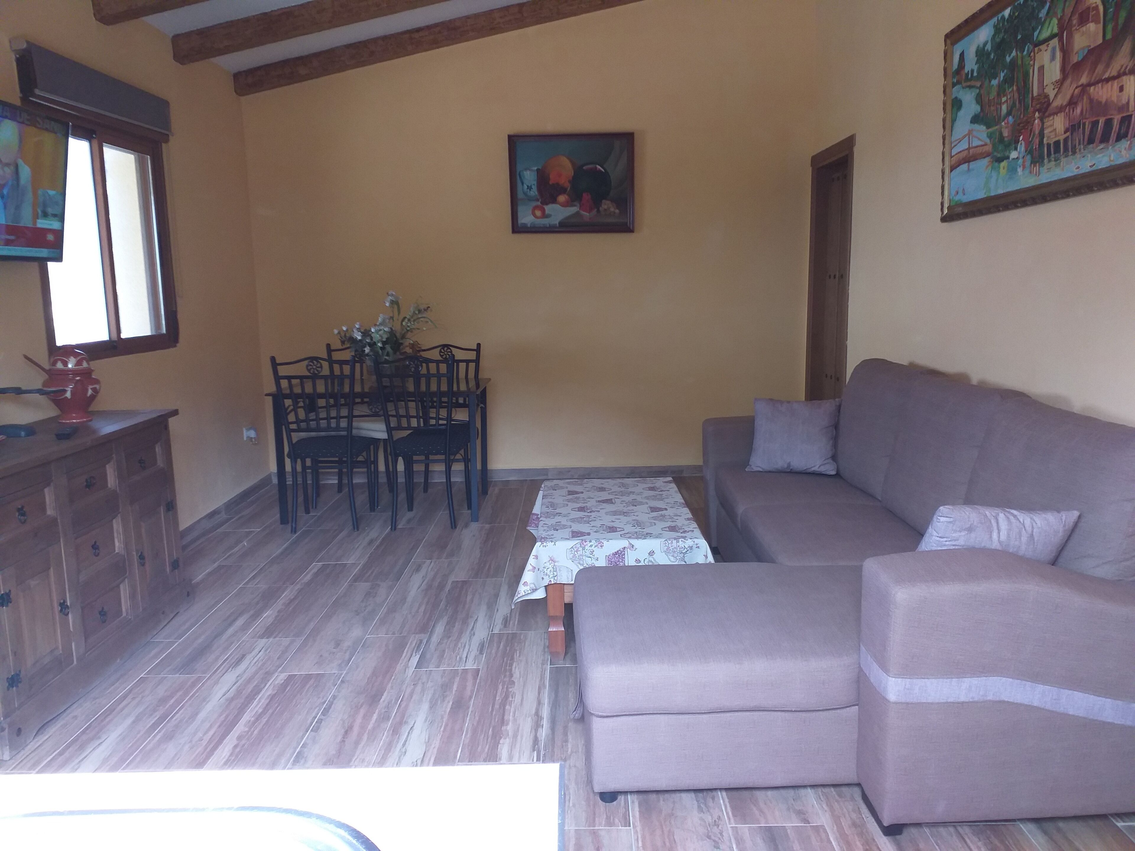 TV, fireplace, DVD player, books