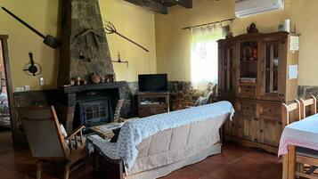 Una televisión, una chimenea, un reproductor de DVD, libros