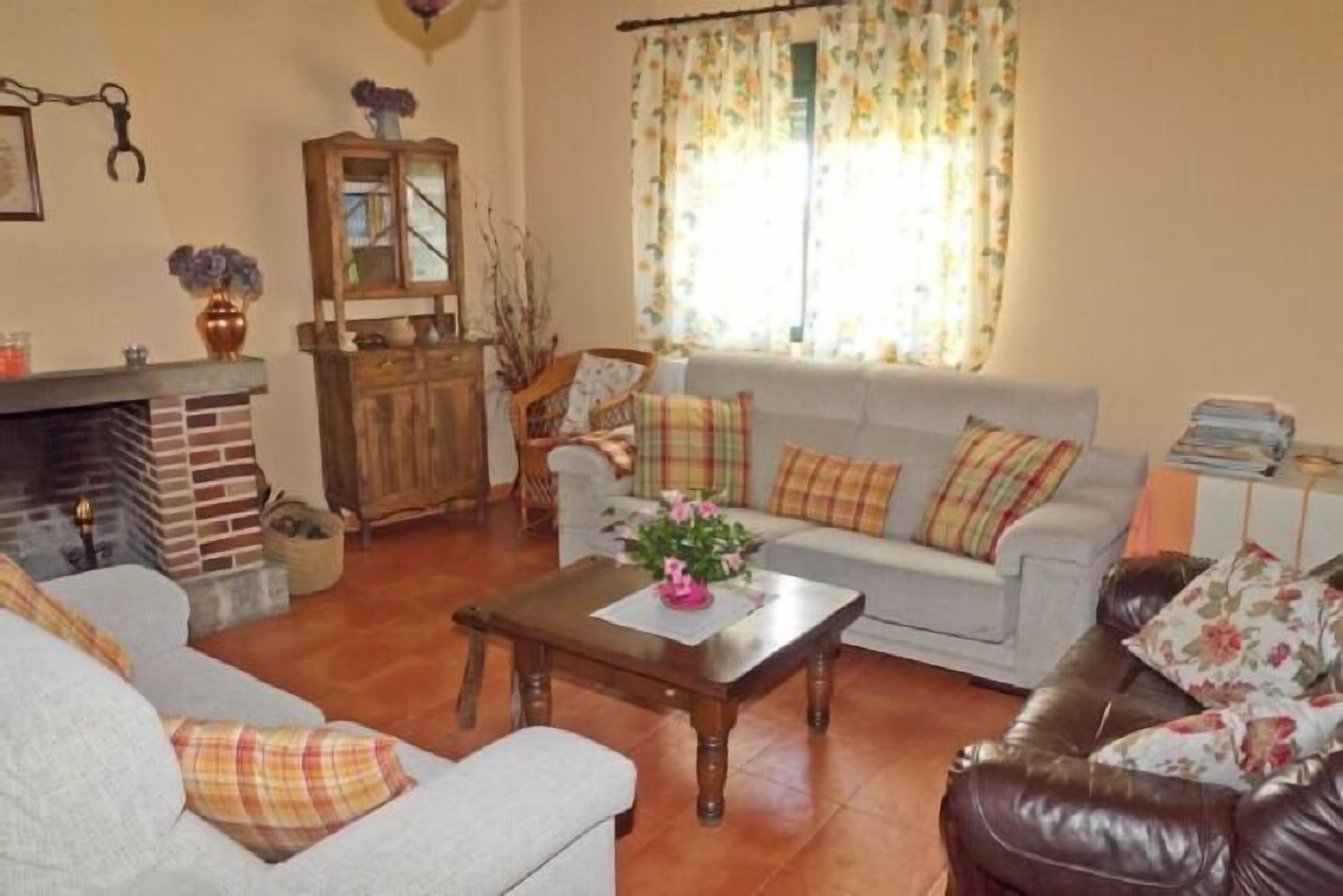 Télévision, cheminée, lecteur de DVD, chaîne hi-fi