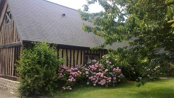 Udendørsområde