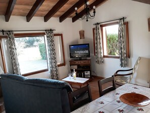 Televisie, een open haard en een dvd-speler