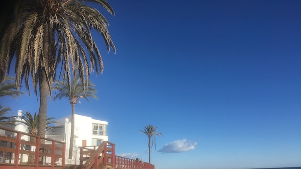 Ein Strand mit einer Treppe, die zu einem Gebäude führt, Palmen und dem Meer.