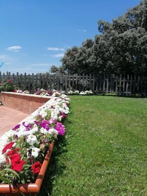 Área da propriedade