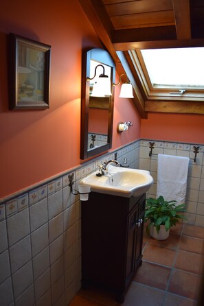 Shower, towels, toilet paper
