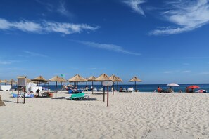 بالقرب من الشاطئ