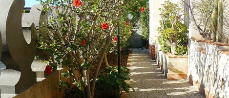 Overnattingsstedets uteområder