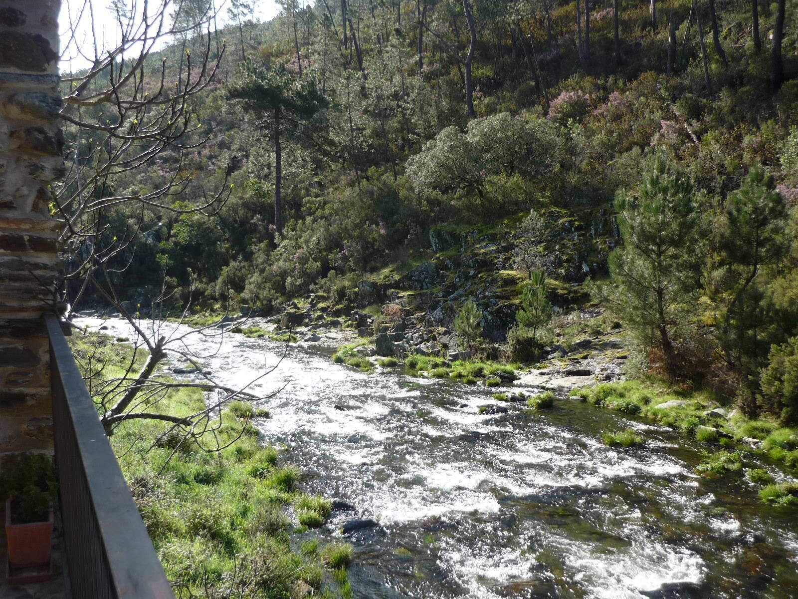 A river flowing through a forested area with a stone wall on the left.