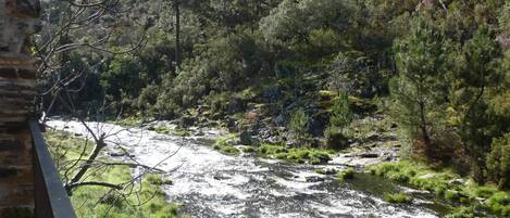A river flowing through a forested area with a stone wall on the left.