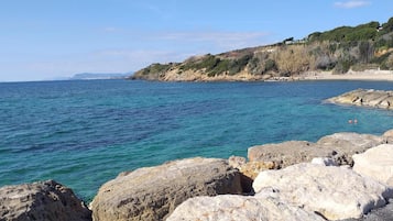 بالقرب من الشاطئ