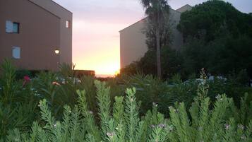 المنطقة المحيطة بالمنشأة