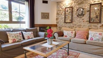 TV connectée, cheminée, lecteur de DVD, livres