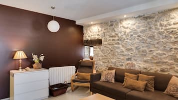 TV connectée, cheminée, lecteur de DVD, livres