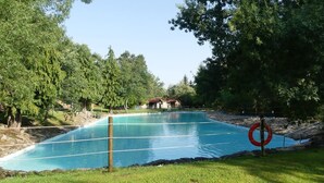 A swimming pool surrounded by trees and a grassy area. - The House of the Chickens for 4 people (Turrubuelo)
