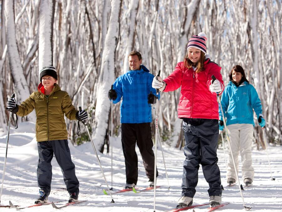 A group of people skiing on a snow-covered slope with trees in the background.