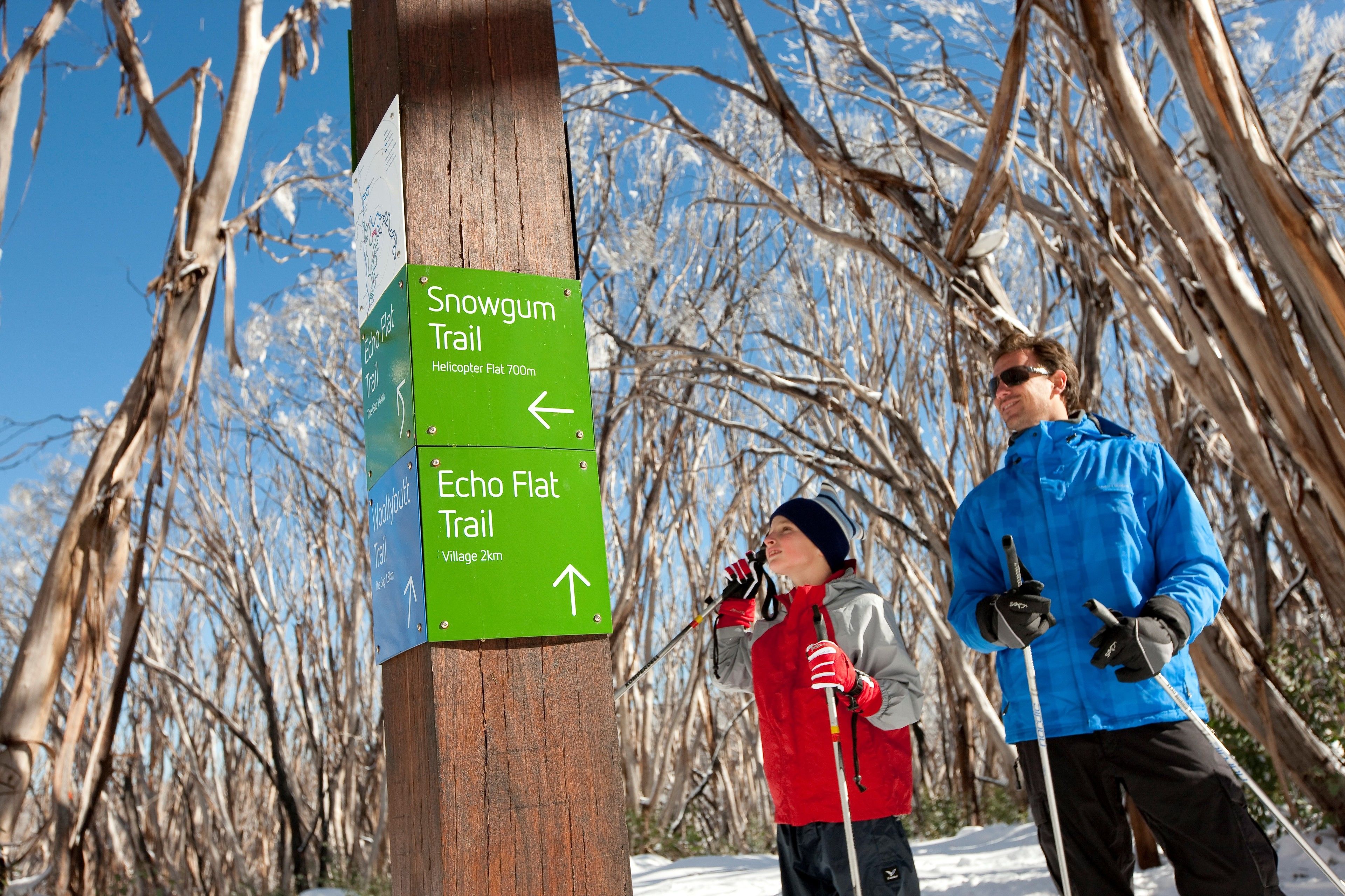 children’s activities