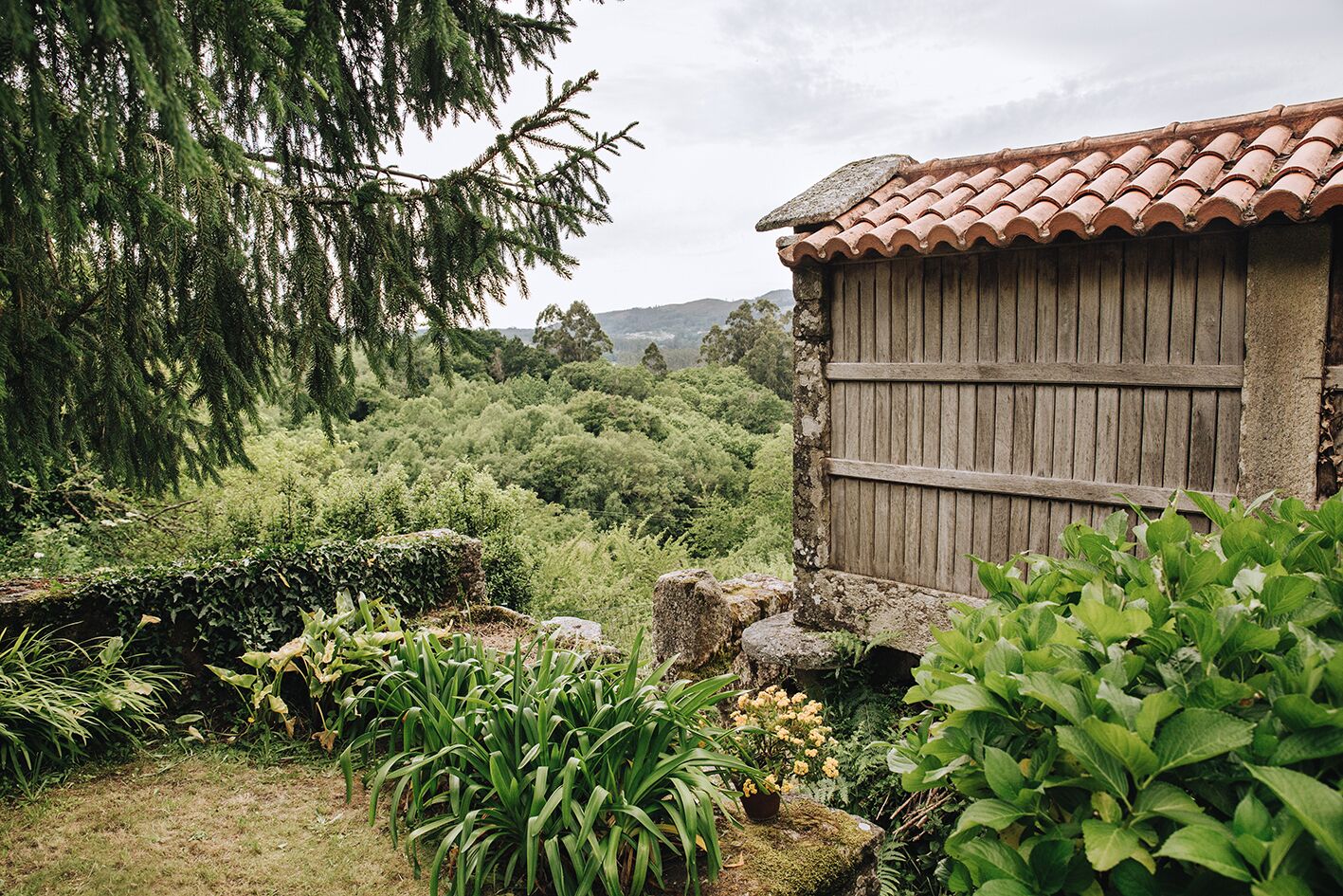 Áreas de la propiedad
