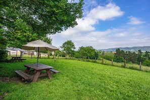 Uma área de piquenique com mesa e guarda-sol, rodeada por vegetação exuberante e um cercado.