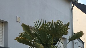A small palm tree in a planter in front of a building with a white exterior and a window with shutters. - Family home 100m from the beach (Saint-Nazaire)