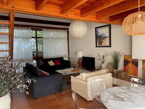 TV, caminetto, lettore DVD, tavolo da ping pong