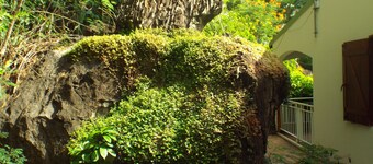 Residence la Rocheuse Studio Apricot