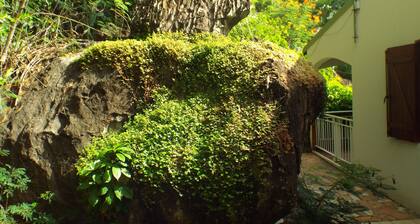 Residence la Rocheuse Studio Apricot