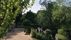 A garden pathway leading to a seating area with a bench, surrounded by various plants and flowers.