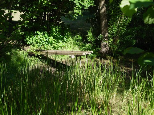 quiet holiday overlooking the pond, park and forest edge