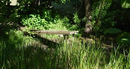 quiet holiday overlooking the pond, park and forest edge
