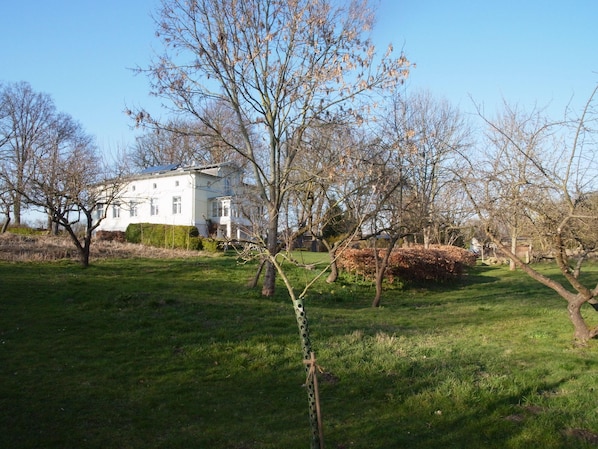 Property grounds - quiet holiday overlooking the pond, park and forest edge (Niederklütz)