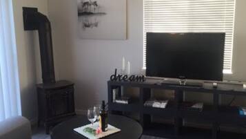 TV connectée, cheminée, lecteur de DVD, livres