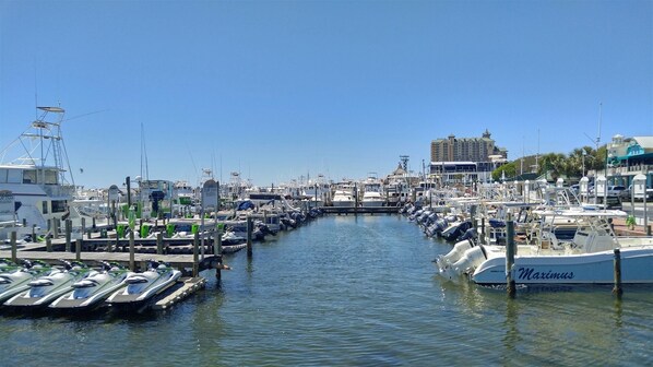Marina
