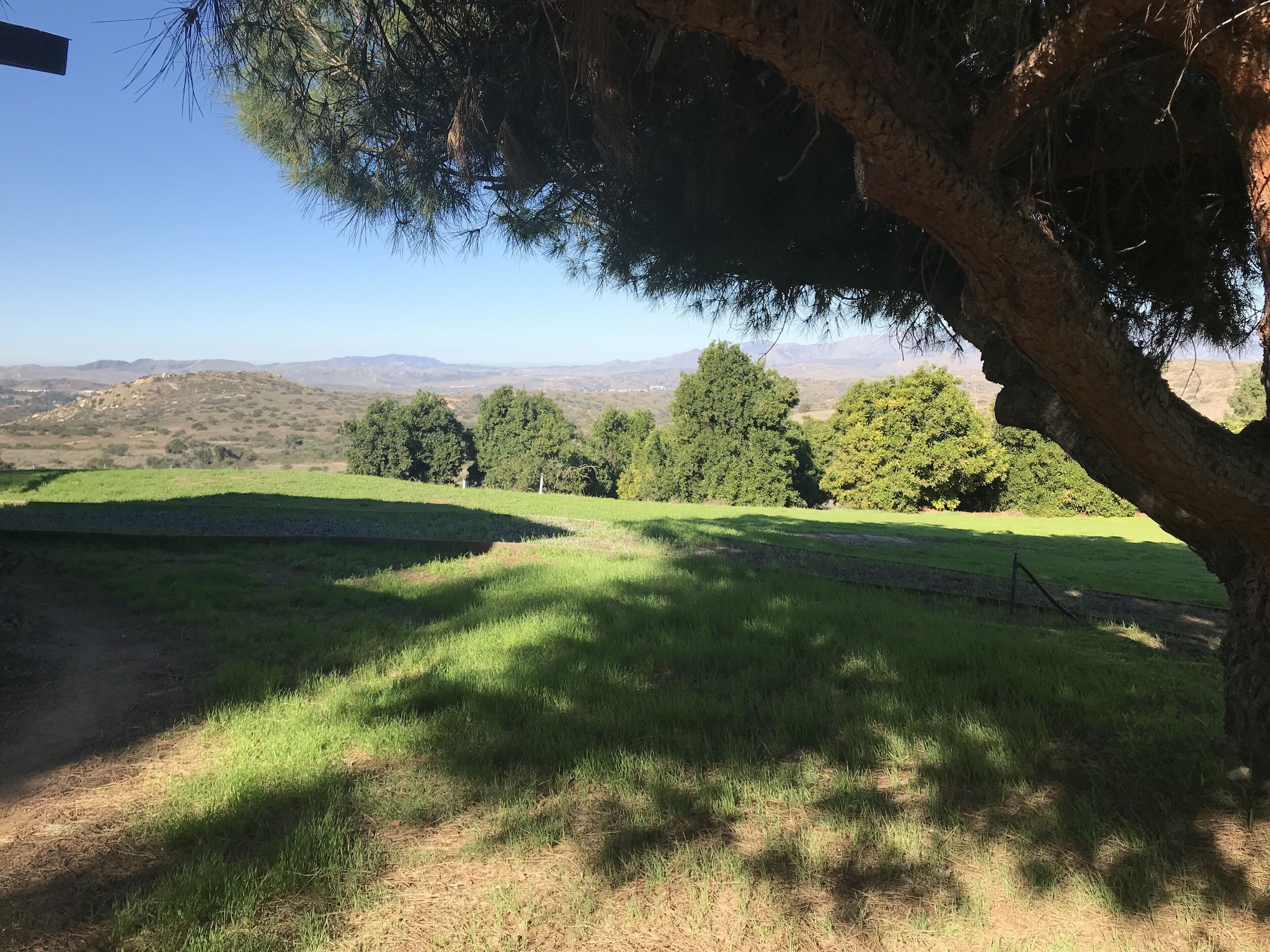 Serenity Is Yours in Fallbrook